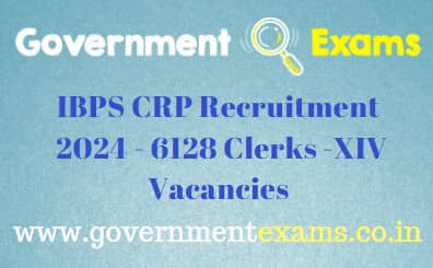 IBPS CRP Clerk Recruitment 2024